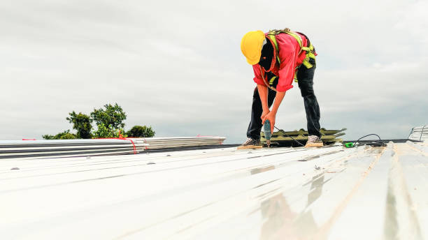 Best Roof Ventilation Installation  in North Wilkesboro, NC