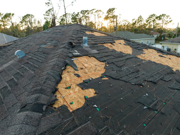 Best Metal Roofing Installation  in North Wilkesboro, NC