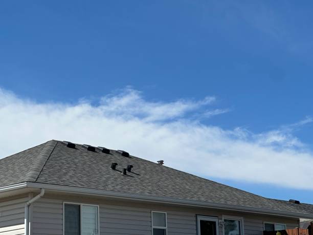 Best Roof Insulation Installation  in North Wilkesboro, NC